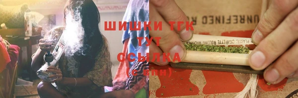 соль ск Алзамай