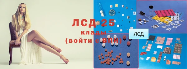 соль ск Алзамай