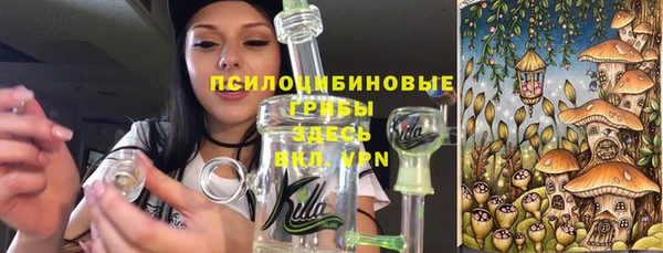 мяу мяу кристалл Алексин