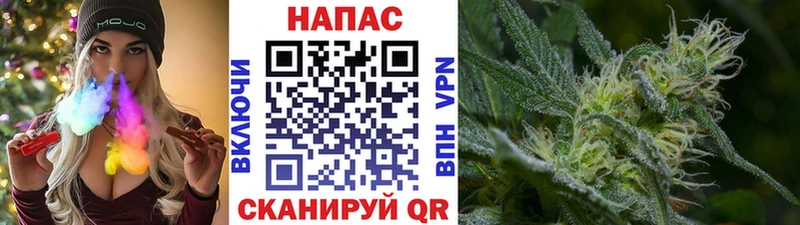 Канабис гибрид  где купить наркоту  Навашино 